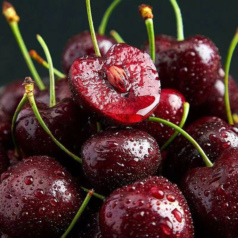 Giant Black Cherry Seeds | Sweet & Juicy Homegrown Fruit | Non-GMO Heirloom Variety