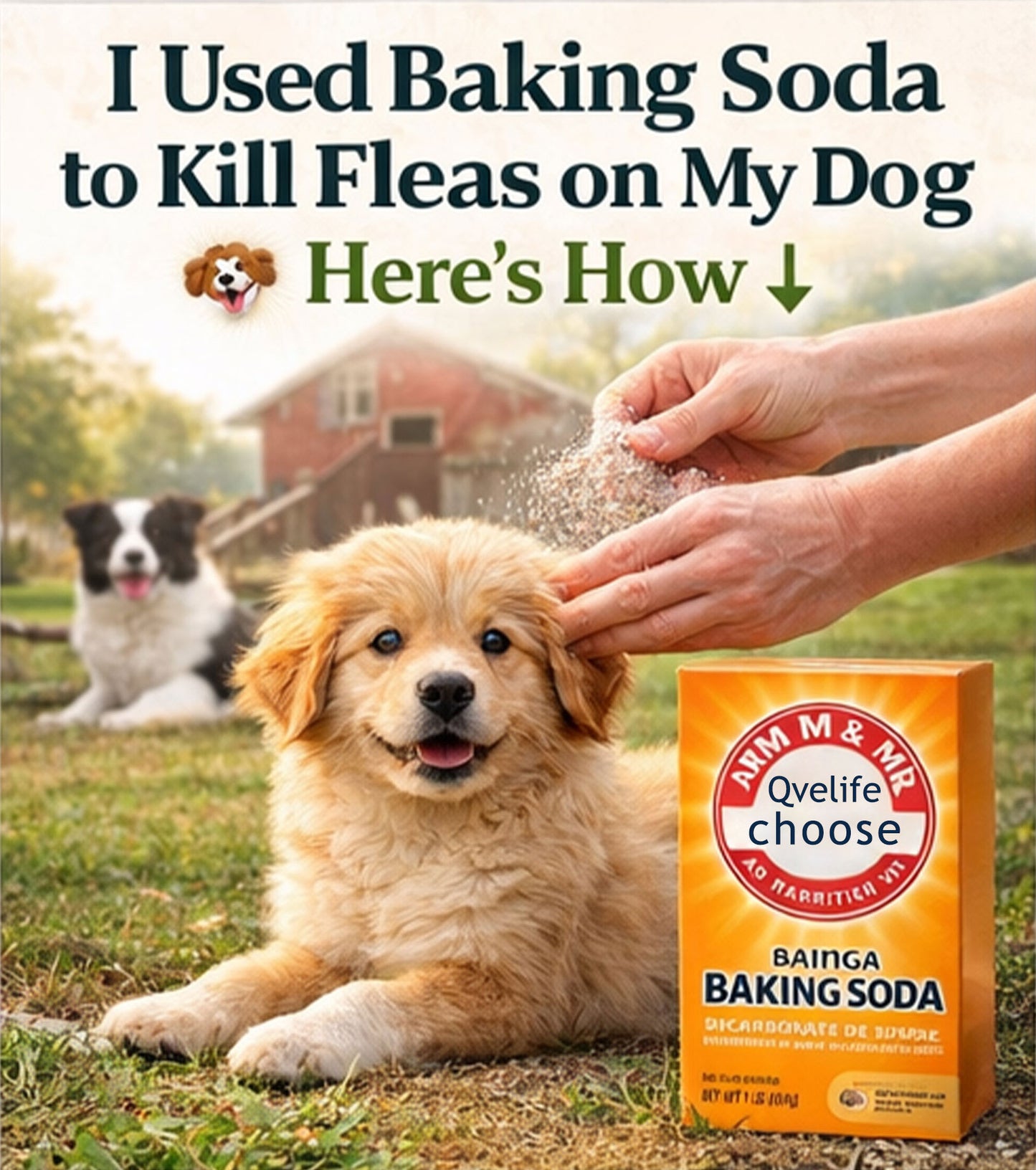 🔥HOT SALE - 49% OFF🐶🐱 Natural Flea Control Solution for Pets