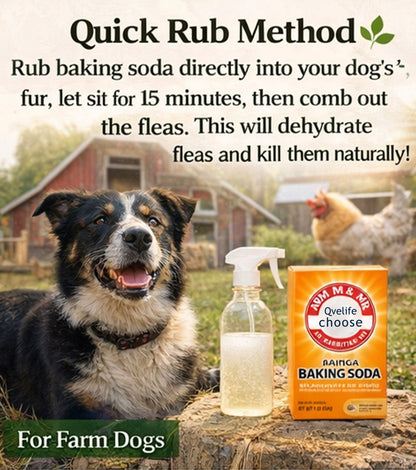 🔥HOT SALE - 49% OFF🐶🐱 Natural Flea Control Solution for Pets