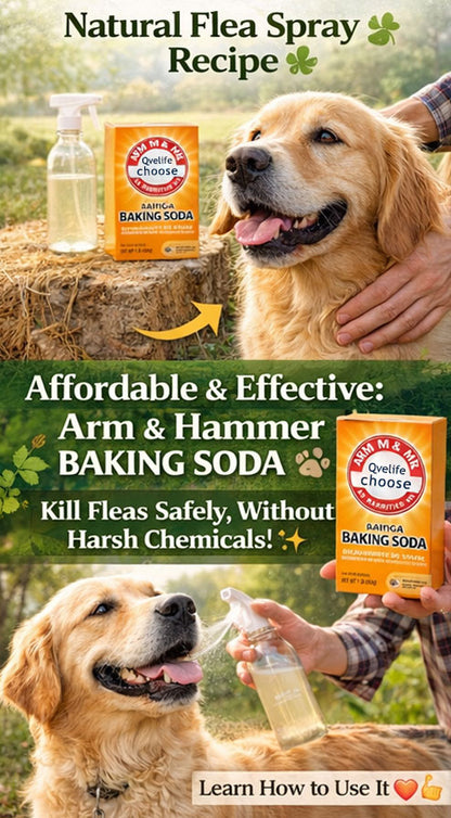 🔥HOT SALE - 49% OFF🐶🐱 Natural Flea Control Solution for Pets