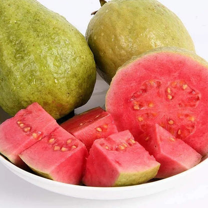 🔥 (New Harvest) Organic Pink Guava Seeds | 🌿Pre-Primed for High Germination (99% Germination)
