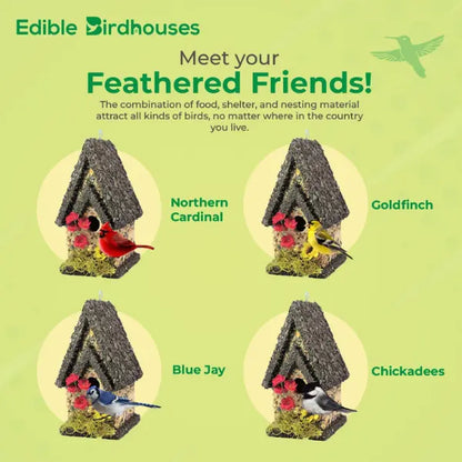 🐦 Edible Bird Feeder House