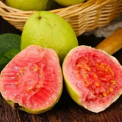 🔥 (New Harvest) Organic Pink Guava Seeds | 🌿Pre-Primed for High Germination (99% Germination)