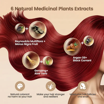 🌿 2026 Upgraded 6-in-1 Herbal Hair Dye Shampoo