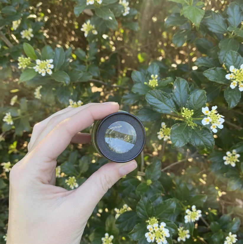 A Lens That Builds Focus Through Curiosity