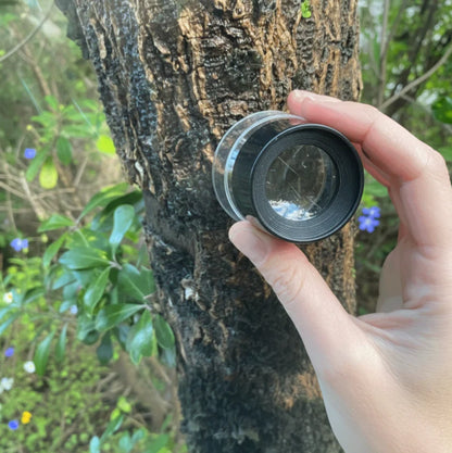 A Lens That Builds Focus Through Curiosity