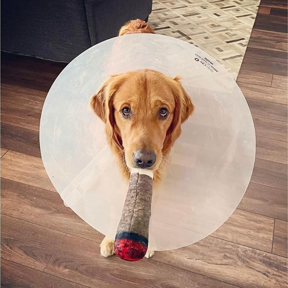 🐶The Doobie Paw – the funniest pet toy of 2025🚬