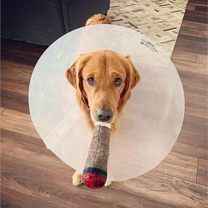 🐶The Doobie Paw – the funniest pet toy of 2025🚬