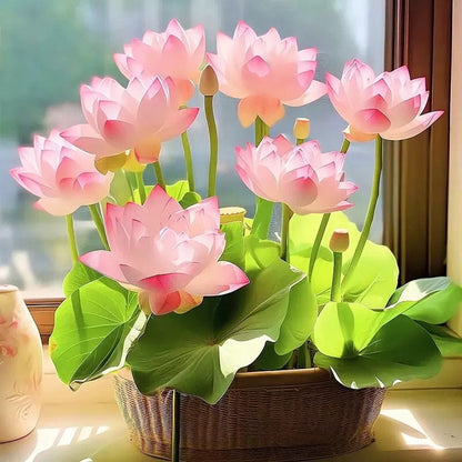 🌸[7 days germination]🔥HOT SALE - 49% OFF💐The Sacred Bonsai Bowl Lotus Flower Plant seeds