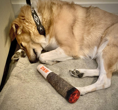 🐶The Doobie Paw – the funniest pet toy of 2025🚬